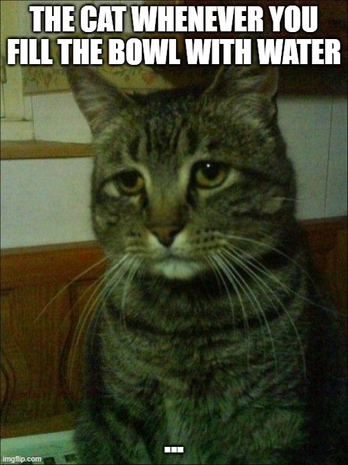 Don"t do it |  THE CAT WHENEVER YOU FILL THE BOWL WITH WATER; ... | image tagged in memes,depressed cat | made w/ Imgflip meme maker