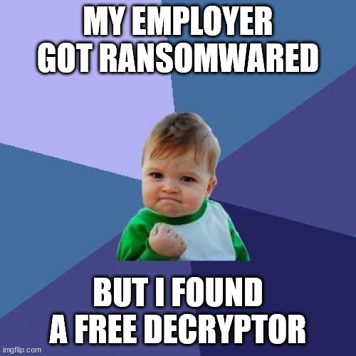 No ransom for you! | MY EMPLOYER GOT RANSOMWARED; BUT I FOUND A FREE DECRYPTOR | image tagged in memes,success kid | made w/ Imgflip meme maker