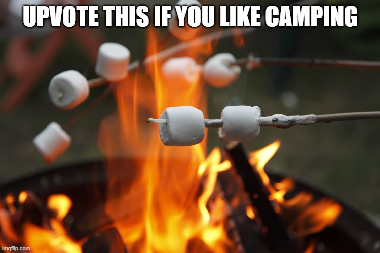 I just came home from a camping trip in my RV | UPVOTE THIS IF YOU LIKE CAMPING | image tagged in roasting marshmellows,camping,upvotes | made w/ Imgflip meme maker