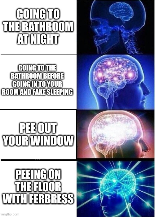 Expanding Brain Meme | GOING TO THE BATHROOM AT NIGHT; GOING TO THE BATHROOM BEFORE GOING IN TO YOUR ROOM AND FAKE SLEEPING; PEE OUT YOUR WINDOW; PEEING ON THE FLOOR WITH FERBRESS | image tagged in memes,expanding brain | made w/ Imgflip meme maker