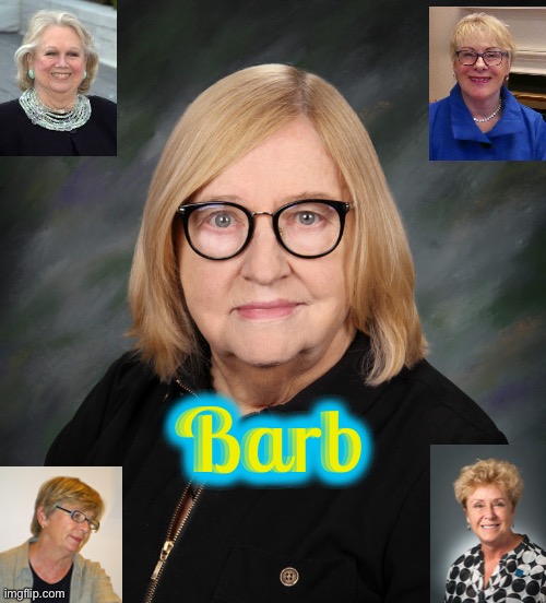 Barb | image tagged in funny,memes,karen,truth,cats,love | made w/ Imgflip meme maker