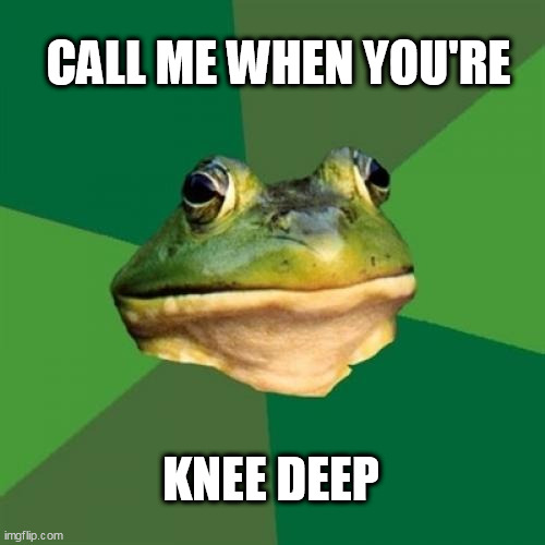 Foul Bachelor Frog Meme | CALL ME WHEN YOU'RE; KNEE DEEP | image tagged in memes,foul bachelor frog | made w/ Imgflip meme maker