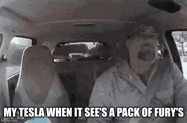 stupid dumb idiot but hole tickling fury's | MY TESLA WHEN IT SEE'S A PACK OF FURY'S | image tagged in fury | made w/ Imgflip meme maker