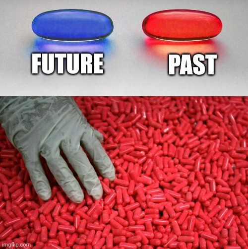 What would you do if you had a time machine | FUTURE; PAST | image tagged in blue or red pill | made w/ Imgflip meme maker