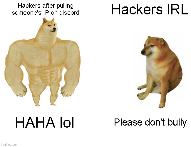 Buff Doge vs. Cheems | Hackers after pulling someone's IP on discord; Hackers IRL; HAHA lol; Please don't bully | image tagged in memes,buff doge vs cheems | made w/ Imgflip meme maker