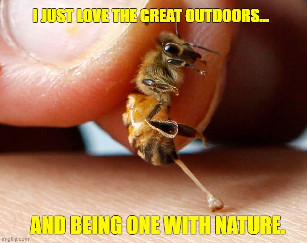 I JUST LOVE THE GREAT OUTDOORS... AND BEING ONE WITH NATURE. | made w/ Imgflip meme maker