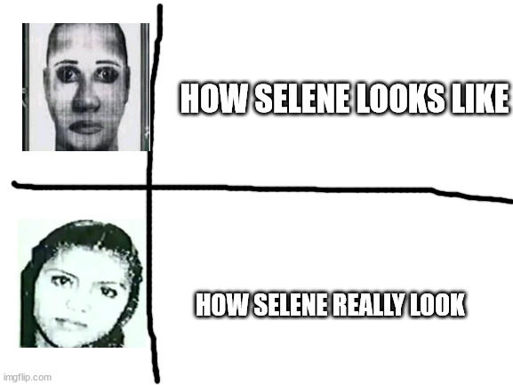 selene | HOW SELENE LOOKS LIKE; HOW SELENE REALLY LOOK | image tagged in blank white template | made w/ Imgflip meme maker