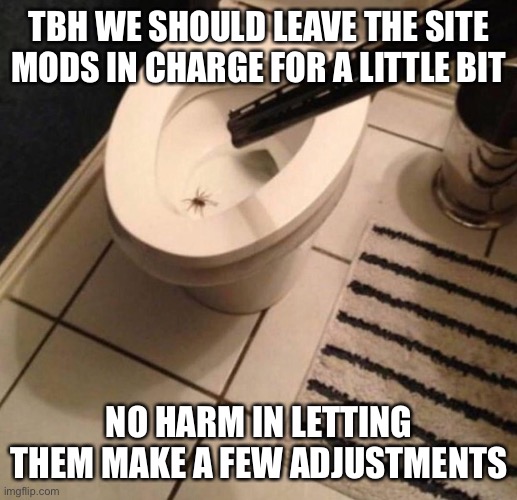 TBH WE SHOULD LEAVE THE SITE MODS IN CHARGE FOR A LITTLE BIT; NO HARM IN LETTING THEM MAKE A FEW ADJUSTMENTS | made w/ Imgflip meme maker