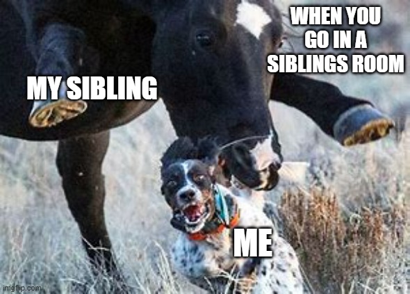 Watch your step | WHEN YOU GO IN A SIBLINGS ROOM; MY SIBLING; ME | image tagged in chase | made w/ Imgflip meme maker