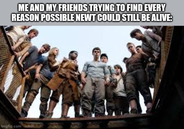 Maze runner | ME AND MY FRIENDS TRYING TO FIND EVERY REASON POSSIBLE NEWT COULD STILL BE ALIVE: | image tagged in maze runner looking | made w/ Imgflip meme maker