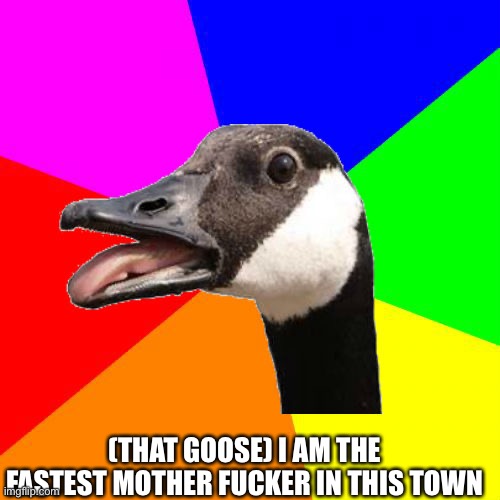 Sexy Canadian Goose | (THAT GOOSE) I AM THE FASTEST MOTHER FUCKER IN THIS TOWN | image tagged in sexy canadian goose | made w/ Imgflip meme maker