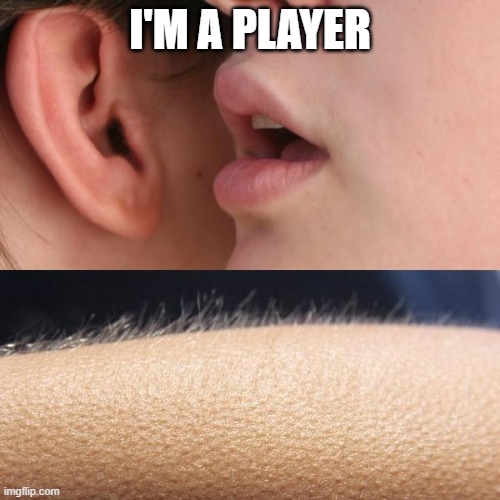 Whisper and Goosebumps | I'M A PLAYER | image tagged in whisper and goosebumps | made w/ Imgflip meme maker