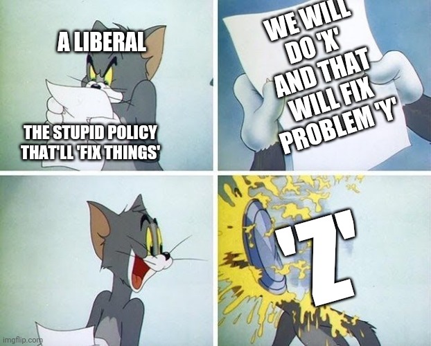 Tom and Jerry custard pie | WE WILL DO 'X' AND THAT WILL FIX PROBLEM 'Y'; A LIBERAL; THE STUPID POLICY THAT'LL 'FIX THINGS'; 'Z' | image tagged in tom and jerry custard pie | made w/ Imgflip meme maker