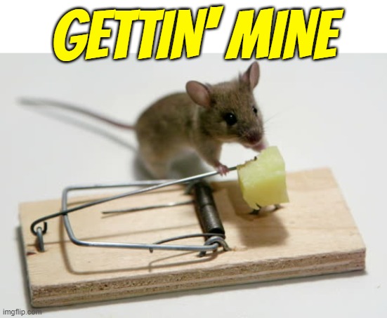 GETTIN' MINE | GETTIN' MINE | image tagged in gettin' mine,trap,deserve,take,recieving,posession | made w/ Imgflip meme maker