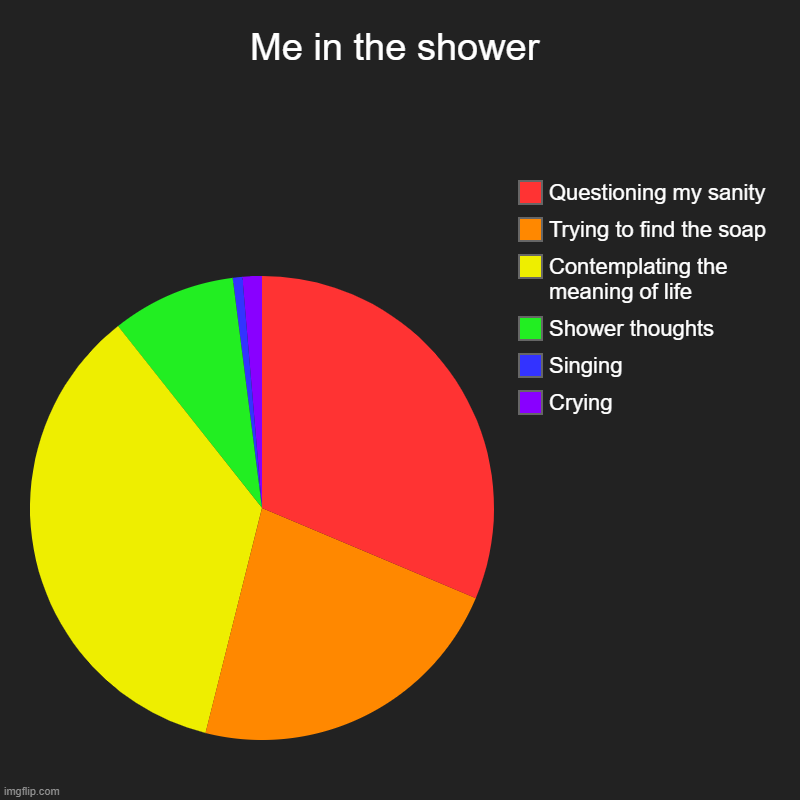 Relatable? | Me in the shower | Crying, Singing, Shower thoughts, Contemplating the meaning of life, Trying to find the soap, Questioning my sanity | image tagged in charts,pie charts | made w/ Imgflip chart maker