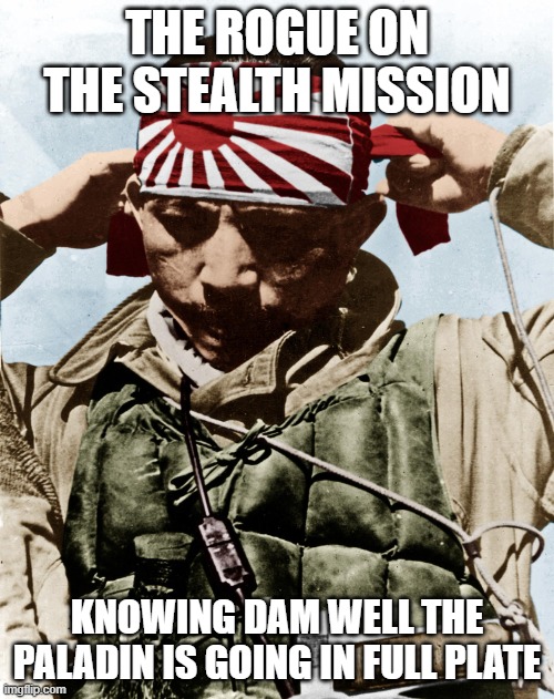 kamikaze | THE ROGUE ON THE STEALTH MISSION; KNOWING DAM WELL THE PALADIN IS GOING IN FULL PLATE | image tagged in kamikaze | made w/ Imgflip meme maker