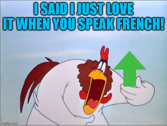 foghorn | I SAID I JUST LOVE IT WHEN YOU SPEAK FRENCH! | image tagged in foghorn | made w/ Imgflip meme maker