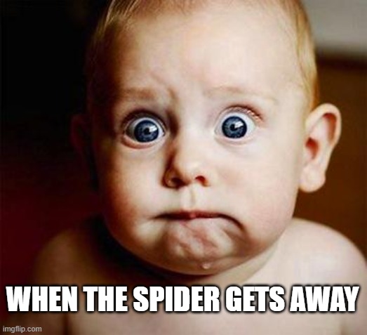 scared baby |  WHEN THE SPIDER GETS AWAY | image tagged in scared baby | made w/ Imgflip meme maker