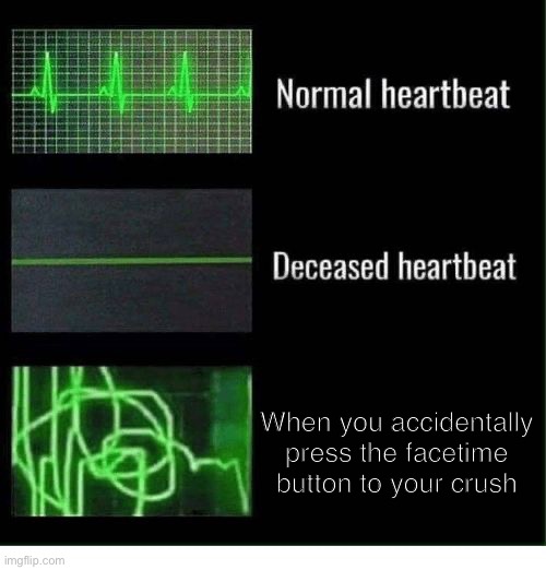 I actually did this once. I almost died | When you accidentally press the facetime button to your crush | image tagged in normal heartbeat deceased heartbeat | made w/ Imgflip meme maker