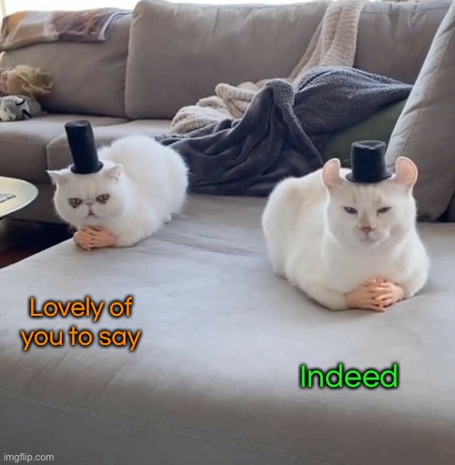 Lovely of you to say Indeed | made w/ Imgflip meme maker