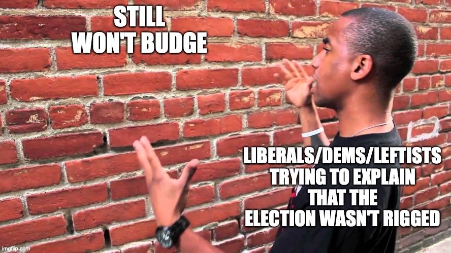 The election is rigged | STILL WON'T BUDGE; LIBERALS/DEMS/LEFTISTS TRYING TO EXPLAIN THAT THE ELECTION WASN'T RIGGED | image tagged in talking to wall,liberal logic,rigged elections,biden | made w/ Imgflip meme maker