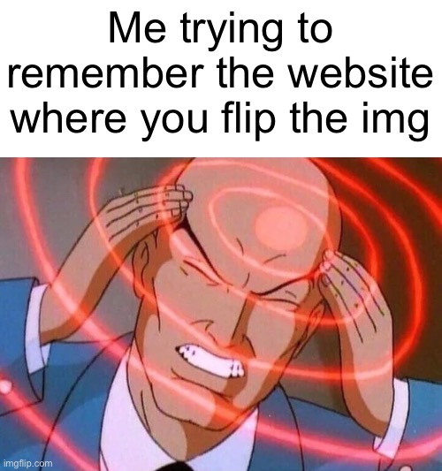 tell me what it is in the comments | Me trying to remember the website where you flip the img | image tagged in memes,gifs,not really a gif,oh wow are you actually reading these tags | made w/ Imgflip meme maker