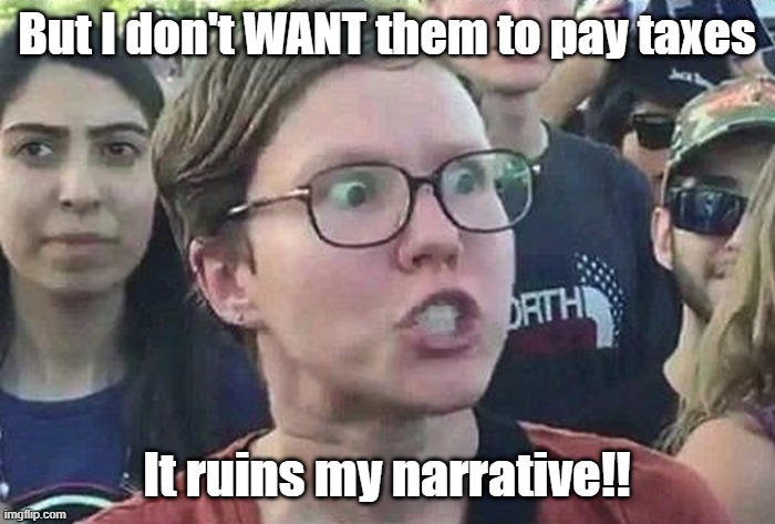 Triggered Liberal | But I don't WANT them to pay taxes It ruins my narrative!! | image tagged in triggered liberal | made w/ Imgflip meme maker