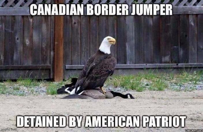 Patriot | image tagged in eye roll | made w/ Imgflip meme maker