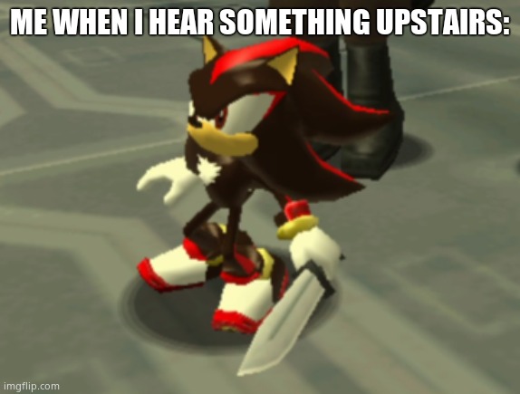 Shadow The Hedgehog with a knife | ME WHEN I HEAR SOMETHING UPSTAIRS: | image tagged in shadow the hedgehog with a knife | made w/ Imgflip meme maker