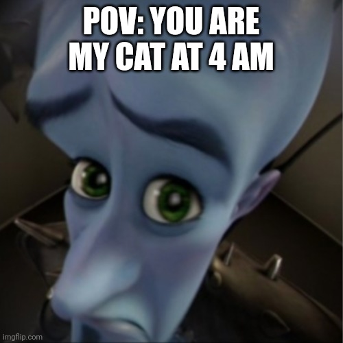 Cat | POV: YOU ARE MY CAT AT 4 AM | image tagged in megamind peeking | made w/ Imgflip meme maker