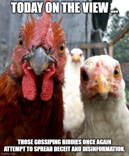 gangster chickens | TODAY ON THE VIEW ... THOSE GOSSIPING BIDDIES ONCE AGAIN ATTEMPT TO SPREAD DECEIT AND DISINFORMATION. | image tagged in gangster chickens | made w/ Imgflip meme maker