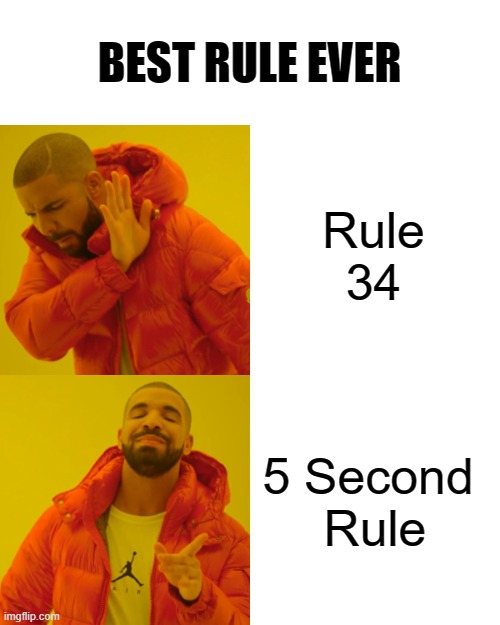 Drake Hotline Bling Meme | Rule 34 5 Second 
Rule BEST RULE EVER | image tagged in memes,drake hotline bling | made w/ Imgflip meme maker