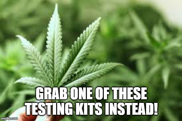 marijuana | GRAB ONE OF THESE TESTING KITS INSTEAD! | image tagged in marijuana | made w/ Imgflip meme maker