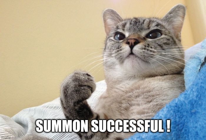 Success Cat | SUMMON SUCCESSFUL ! | image tagged in success cat | made w/ Imgflip meme maker