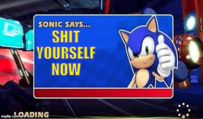 Do it Do it Do it DO IT! | SHIT YOURSELF; NOW | image tagged in sonic says | made w/ Imgflip meme maker