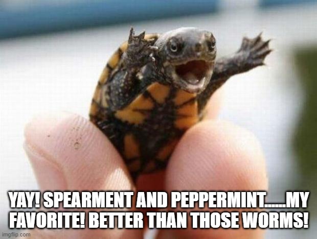happy baby turtle | YAY! SPEARMENT AND PEPPERMINT......MY FAVORITE! BETTER THAN THOSE WORMS! | image tagged in happy baby turtle | made w/ Imgflip meme maker