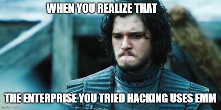 sad jon snow | WHEN YOU REALIZE THAT; THE ENTERPRISE YOU TRIED HACKING USES EMM | image tagged in sad jon snow | made w/ Imgflip meme maker