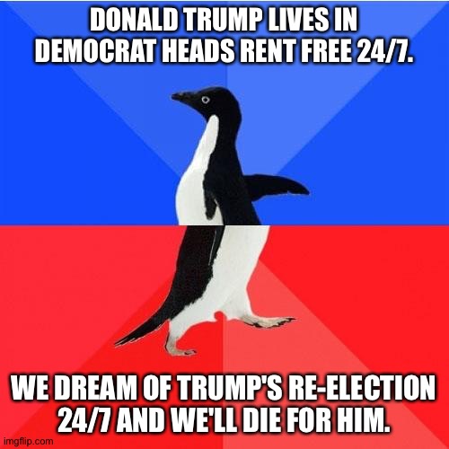 Socially Awkward Trumpublican Penguin | DONALD TRUMP LIVES IN DEMOCRAT HEADS RENT FREE 24/7. WE DREAM OF TRUMP'S RE-ELECTION 24/7 AND WE'LL DIE FOR HIM. | image tagged in memes,socially awkward awesome penguin | made w/ Imgflip meme maker
