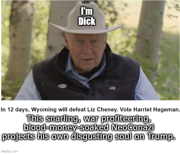 He's Dick | I'm
Dick; This snarling, war profiteering, blood-money-soaked NeoConazi projects his own disgusting soul on Trump. | image tagged in memes,politics | made w/ Imgflip meme maker