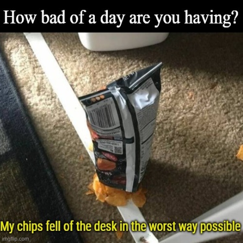 my life sucks | image tagged in funny,memes,chips | made w/ Imgflip meme maker