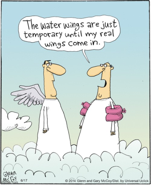 image tagged in memes,comics,heaven,what are you waiting for,real,wings | made w/ Imgflip meme maker
