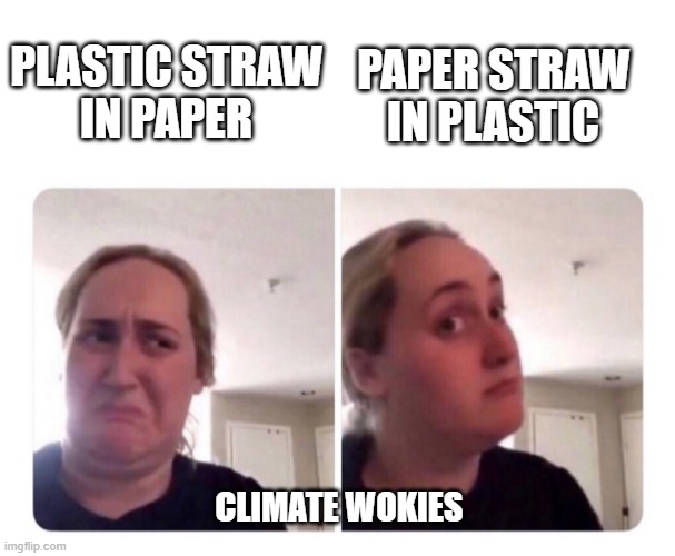No yes lady | PAPER STRAW
IN PLASTIC; PLASTIC STRAW
IN PAPER; CLIMATE WOKIES | image tagged in no yes lady | made w/ Imgflip meme maker