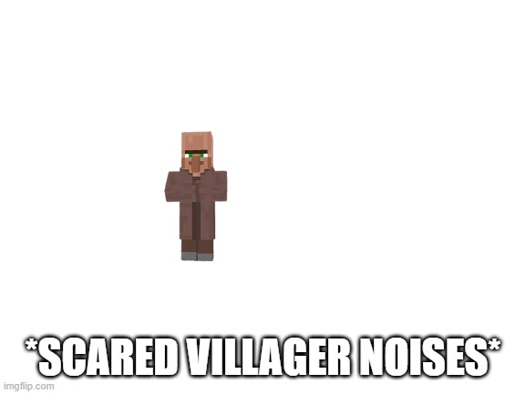 Blank White Template | *SCARED VILLAGER NOISES* | image tagged in blank white template | made w/ Imgflip meme maker