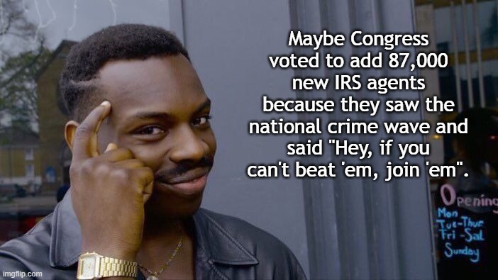 It's true | Maybe Congress voted to add 87,000 new IRS agents because they saw the national crime wave and said "Hey, if you can't beat 'em, join 'em". | image tagged in government corruption,taxes,joe biden,congress | made w/ Imgflip meme maker