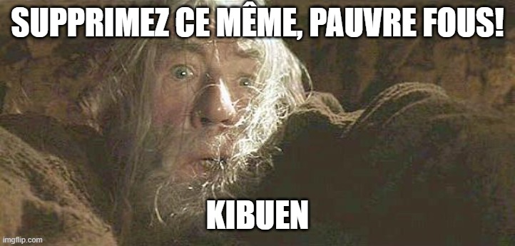 Gandalf Fly You Fools | SUPPRIMEZ CE MÊME, PAUVRE FOUS! KIBUEN | image tagged in gandalf fly you fools | made w/ Imgflip meme maker