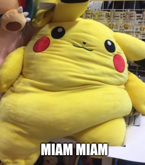 Fat Pikachu | MIAM MIAM | image tagged in fat pikachu | made w/ Imgflip meme maker