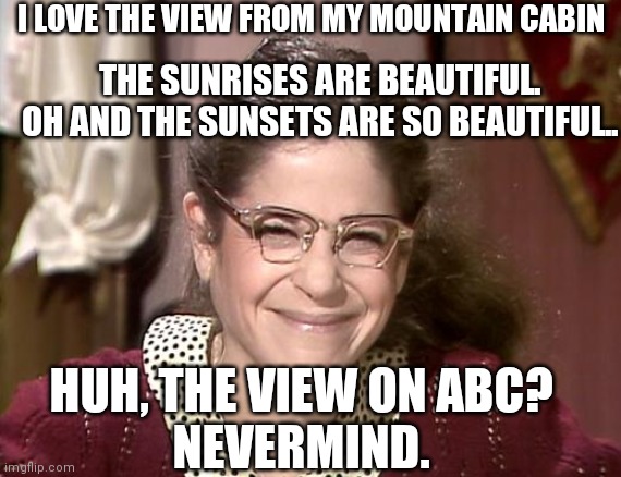 Gilda Radner as Emily Litella | I LOVE THE VIEW FROM MY MOUNTAIN CABIN THE SUNRISES ARE BEAUTIFUL. OH AND THE SUNSETS ARE SO BEAUTIFUL.. HUH, THE VIEW ON ABC?

NEVERMIND. | image tagged in gilda radner as emily litella | made w/ Imgflip meme maker