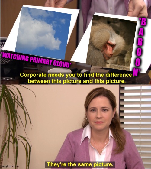 -Return till differences. | *B
A
B
O
O
N*; *WATCHING PRIMARY CLOUD* | image tagged in memes,they're the same picture,baboon,wildlife,totally looks like,true story | made w/ Imgflip meme maker