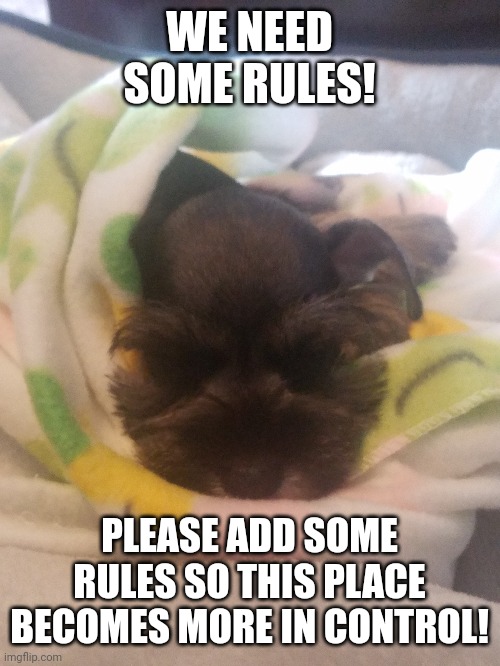 WE NEED SOME RULES! PLEASE ADD SOME RULES SO THIS PLACE BECOMES MORE IN CONTROL! | made w/ Imgflip meme maker