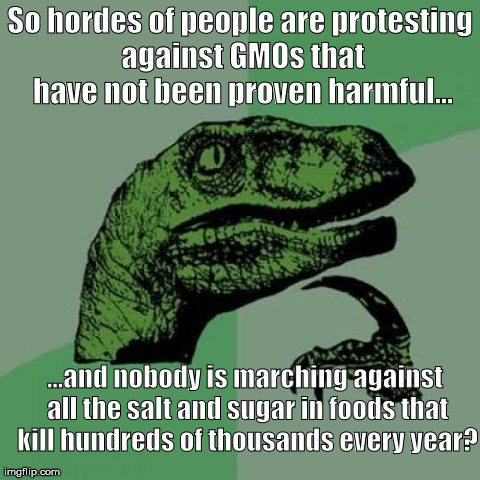Philosoraptor Meme | So hordes of people are protesting against GMOs that have not been proven harmful... ...and nobody is marching against all the salt and suga | image tagged in memes,philosoraptor | made w/ Imgflip meme maker